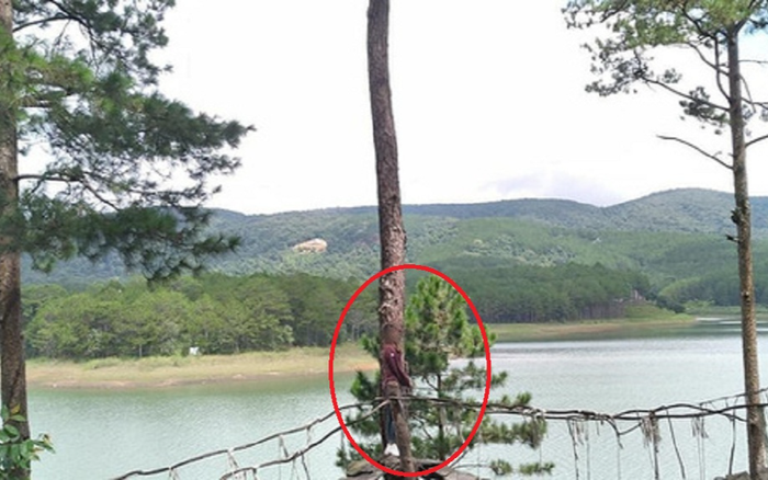 Du lịch Đà Lạt, cô gái nhận về 'cái kết đắng' từ bức ảnh do chính tay anh người yêu thực hiện