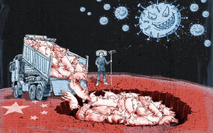 3/4 bệnh ở người có nguồn gốc từ động vật, bác sĩ thú y sẽ cứu thế giới?