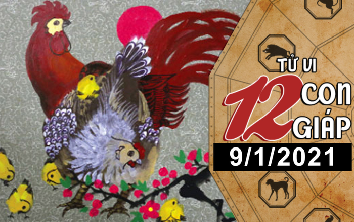 Tử vi thứ 7 ngày 9/1/2021 của 12 con giáp: Ngọ vượng tài lộc, Dậu cẩn thận kẻ thứ 3
