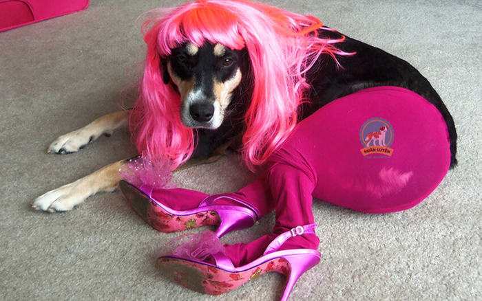 Lên đồ cực chất cho các 'boss' chống rét, 'sen' tận dụng mọi đồ vật, quần áo không xài tới