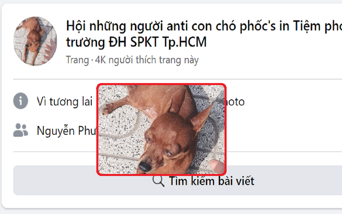 Sau cửa hàng, đến lượt chú chó trong tiệm photocopy ĐH Sư phạm Kỹ thuật TP.HCM bị… lập group anti