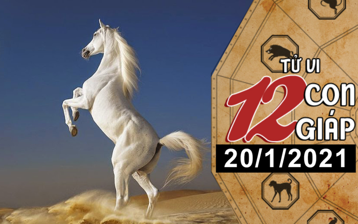 Tử vi thứ 4 ngày 20/1/2021 của 12 con giáp: Tý dễ bị cấp trên khiển trách, Ngọ nên đề phòng kẻ thứ 3