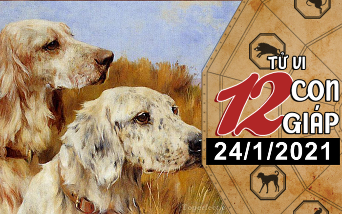Tử vi chủ nhật ngày 24/1/2021 của 12 con giáp: Mão được Thần Tài che chở, Mùi hao tài tốn của