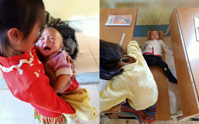 Xót xa bé gái 4 tuổi ở Lai Châu phải địu em đến trường, dỗ dành cho ăn rồi lăn ra ngủ trên ghế học