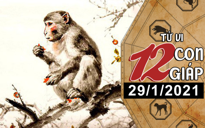 Tử vi thứ 6 ngày 29/1/2021 của 12 con giáp: Mão vượng vận đào hoa, Thân dễ hao tài tốn của