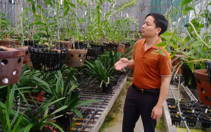Ông chủ 7X Mạnh Hùng và bí quyết thành công khi trồng lan