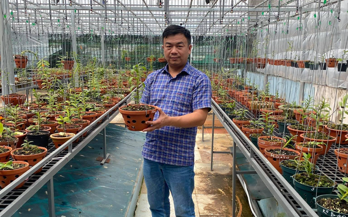 Phạm Đình Đô và những lần chi tiền khủng chinh phục lan đột biến