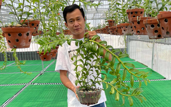 Phạm Minh Minh: Ông chủ vườn lan đi từ thử thách tới thành công