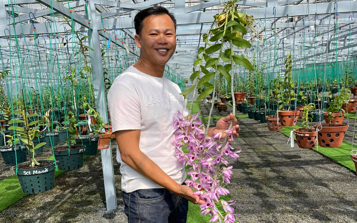 Ông chủ vườn lan Long Bảo và niềm đam mê bất tận với hoa lan