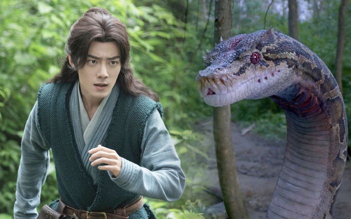 Tìm hiểu về Mạn Đà La xà - Hồn hoàn đầu tiên của Đường Tam trong 'Đấu la đại lục'