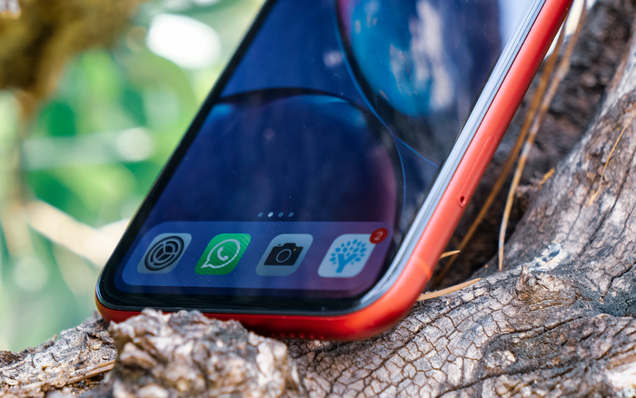 Ưu, nhược điểm các loại iPhone bán ở VN, Tết này mua smartphone mới nhất định cần biết