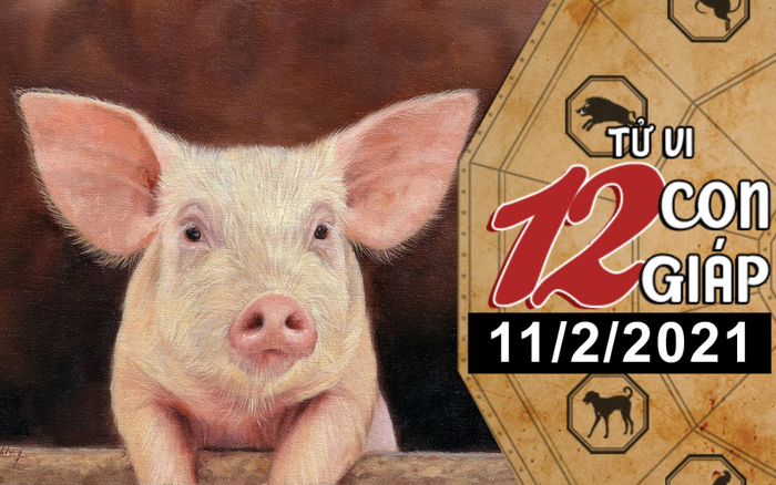 Tử vi thứ 5 ngày 11/2/2021 của 12 con giáp: Tỵ có nhiều cơ hội phát tài, Hợi cẩn thận tiểu nhân