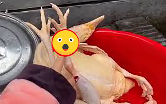 Làm thịt gà để ăn Tết, người phụ nữ nhận được món quà bất ngờ trên chân con vật
