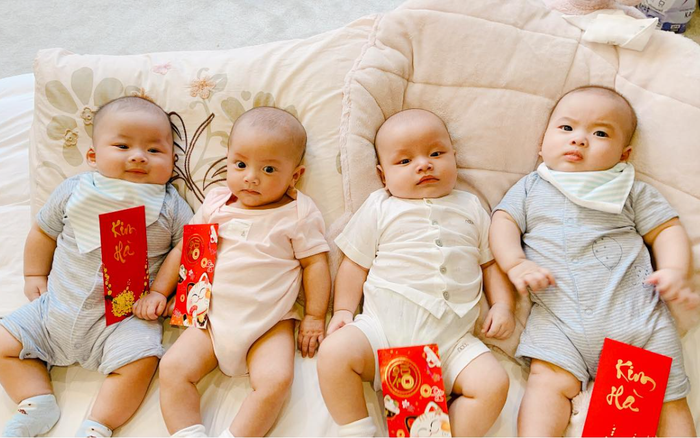 Cặp sinh đôi nhà Hà Hồ và Dương Khắc Linh hội ngộ đầu năm, 'nhà trẻ showbiz' khiến ai nhìn cũng yêu