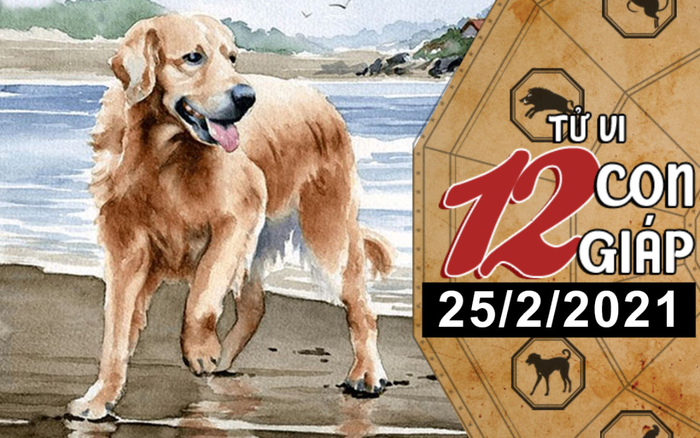 Tử vi thứ 5 ngày 25/2/2021 của 12 con giáp: Sửu vượng vận đào hoa, Tuất tài chính giảm sút