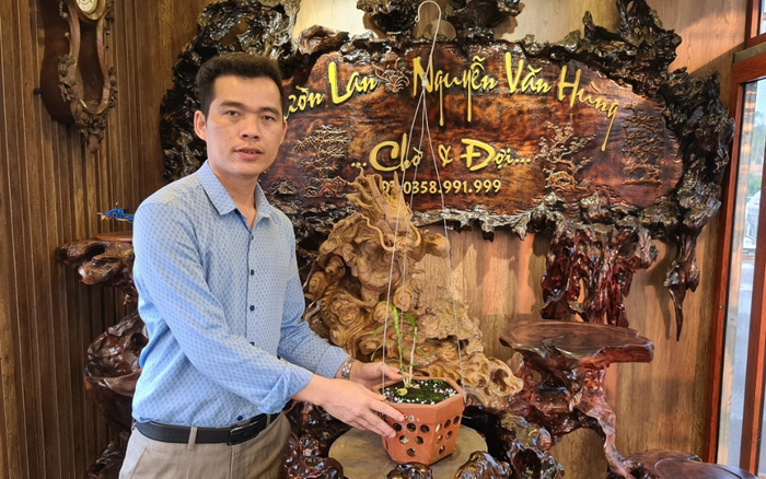 Ông chủ vườn lan Nguyễn Văn Hùng chia sẻ về thú chơi lan