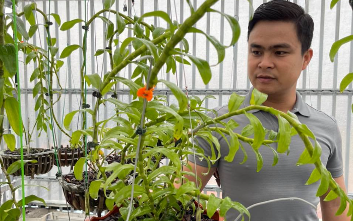 Alex Nguyễn lý giải về sự sôi động của thị trường lan đột biến