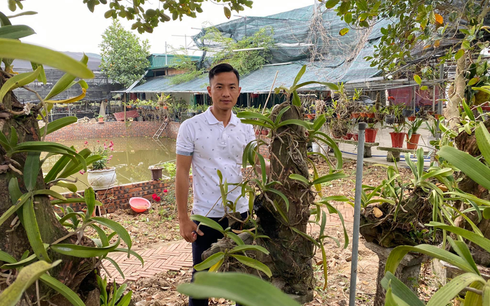 Sỹ Trần – Câu chuyện thành công từ lan với nền tảng vững chắc