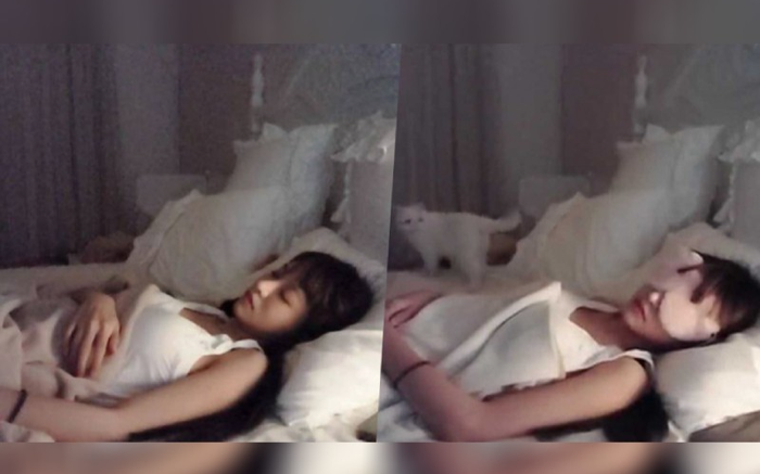 Ngủ gật trong lúc livestream, cô nàng xinh đẹp bất ngờ kiếm bộn tiền