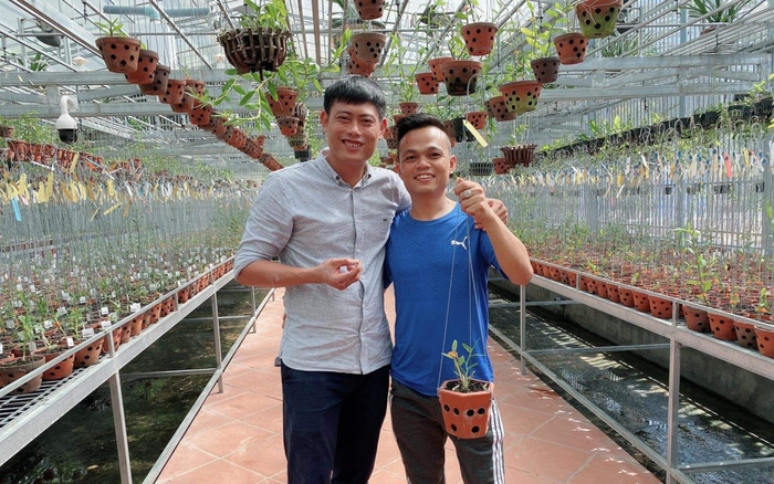 Phát Lộc nổi tiếng thành công khi kinh doanh hoa lan đột biến với mỗi giao dịch lên đến hàng tỷ đồng