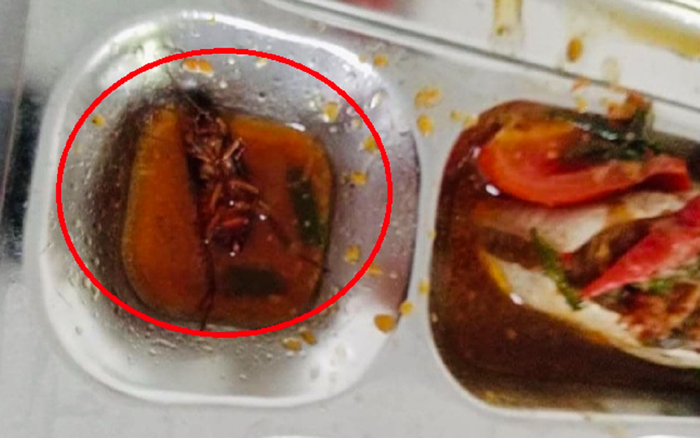 Học sinh phát hiện gián trong khay thức ăn mua ở căn- tin trường