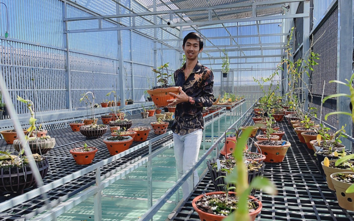 Cường Khuê Các và thành tích 'khủng' của chủ vườn lan trẻ tuổi xứ đại ngàn