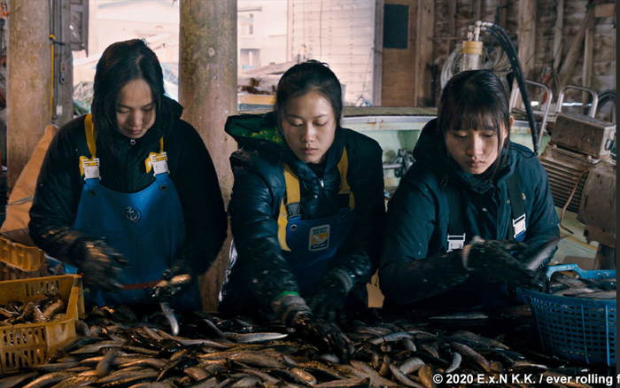 Nhật Bản làm phim về thực tập sinh Việt Nam qua Along the Sea