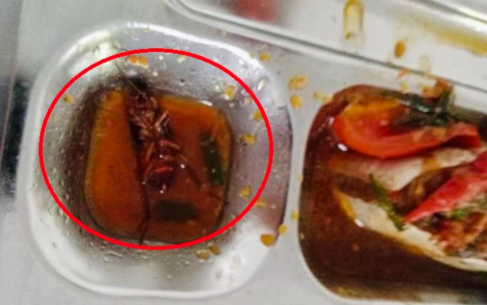 Vụ học sinh phát hiện gián trong khay thức ăn ở căn- tin trường: Sở GD&ĐT TP.HCM vào cuộc xác minh