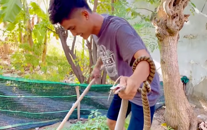 Mạc Văn Khoa tay không bắt rắn tại biệt thự 50 tỉ khiến dân mạng sửng sốt