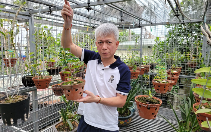 Doanh nhân 7X Nguyễn Hữu Hiệp và câu chuyện kì diệu từ thú chơi lan