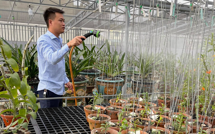 Ông chủ vườn lan 8X Nguyễn Đức Anh và tình yêu với hoa lan đột biến