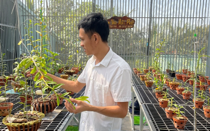 Trần Khánh Mãi khởi nghiệp từ niềm đam mê hoa lan