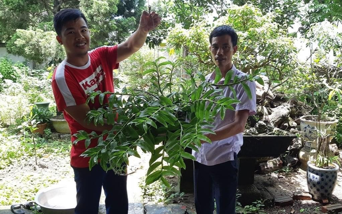 Nghệ nhân Đỗ Văn Đạt – Đam mê hoa lan để từ thiện