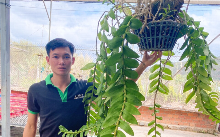 Nguyễn Quốc Trường: Hoa lan đột biến có giá trị cao hơn lan thường vì cung không đủ cầu