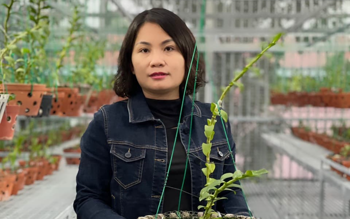 Cô chủ 8x Nguyễn Hoàng Anh và vườn lan giá trị đáng mơ ước