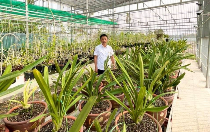 Đàm Nguyễn Tuấn Thành - chàng kỹ sư Bách Khoa bỏ việc để trồng hoa lan