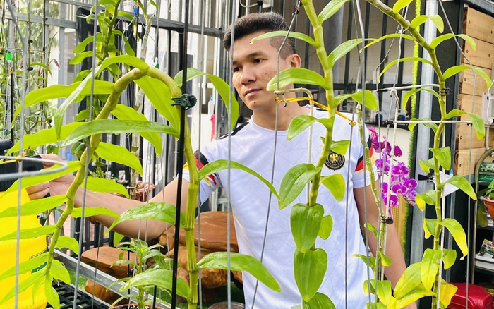 Tài Trần: 'Lan đột biến là thú vui và đam mê của tôi'