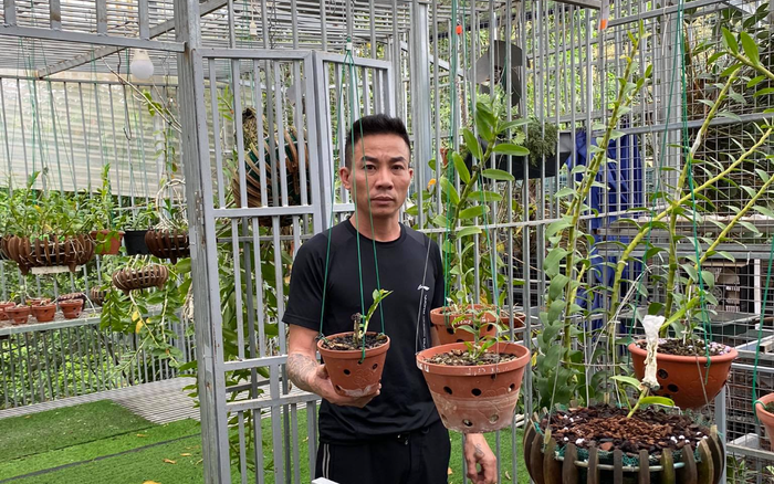 Nghệ nhân Nguyễn Đăng Thỏa chia sẻ bí quyết thành công trong việc trồng lan