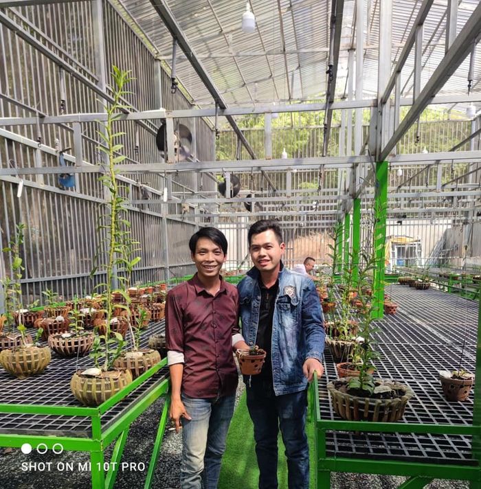 Lê Trọng Nhân: 'Muốn thành công với nghề trồng lan cần phải kiên trì'