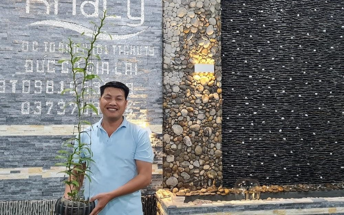 Bật mí bí quyết chăm sóc lan rừng hiệu quả từ chủ vườn lan Khaly Nguyễn Quốc Tư