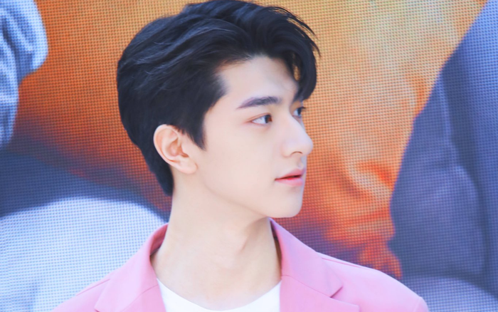 Lâm Nhất - nam thần một thời của phim thần tượng 2019 đã 'thoái lui' showbiz?