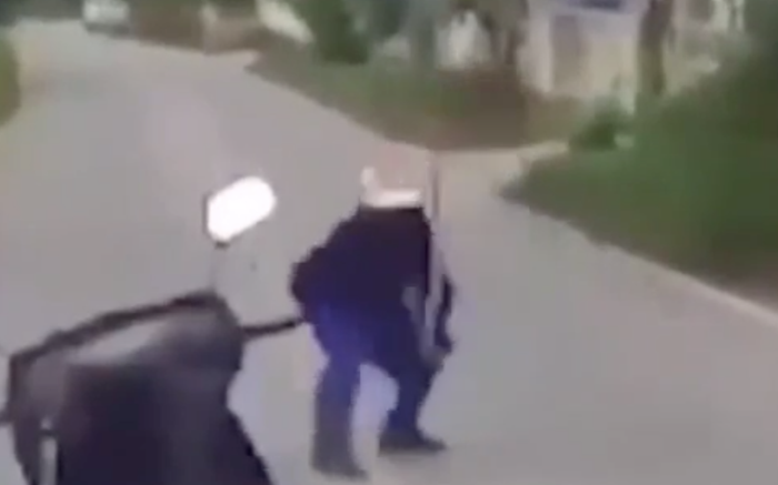 Đang chạy xe, người đàn ông bất ngờ phanh gấp, tay không bắt rắn bò giữa đường