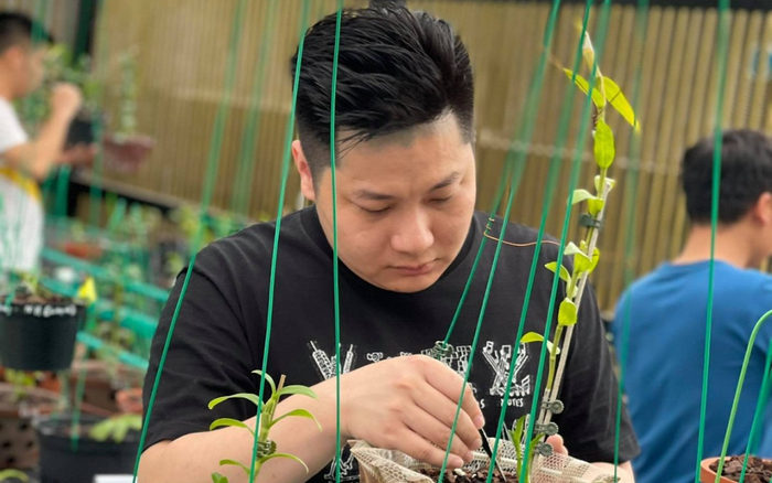 Nghệ nhân Trần Hạo Nam - Trồng hoa lan thì dễ nhưng chăm sóc làm sao cho đúng mới là điều khó
