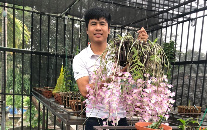 Nghệ nhân trồng lan Tạ Văn Hiệp: Cây lan lớn lên chỉ bằng tình yêu thực sự