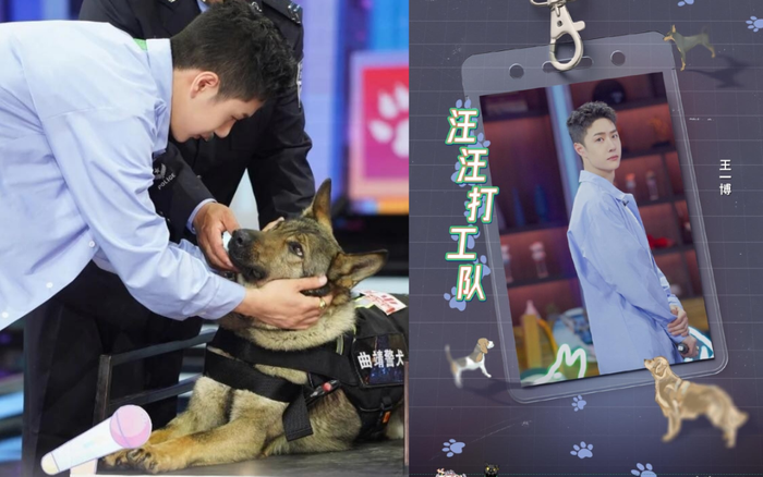Vương Nhất Bác hóa 'trai ngoan' khi huấn luyện chó trong 'Thiên thiên hướng thượng'