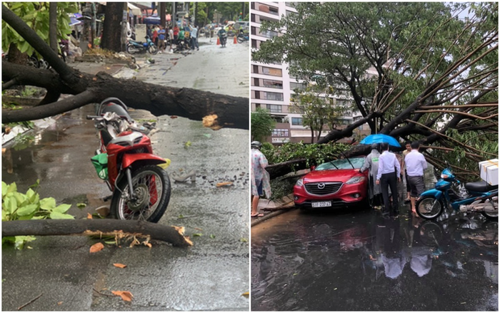 Trận mưa lớn tại TP.HCM chiều nay (12/4) làm cây xanh bật gốc, đè trúng 2 người đi đường gây thương tích