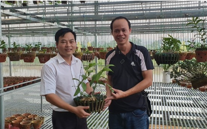 Nghệ nhân Lê Tuấn Tú chia sẻ về cách trồng lan rừng cho người mới chơi