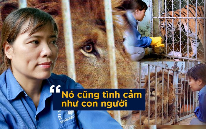 Người phụ nữ hàng chục năm chải bờm, chơi với hổ và sư tử nặng 200kg: 'Nó cũng tình cảm như con người'