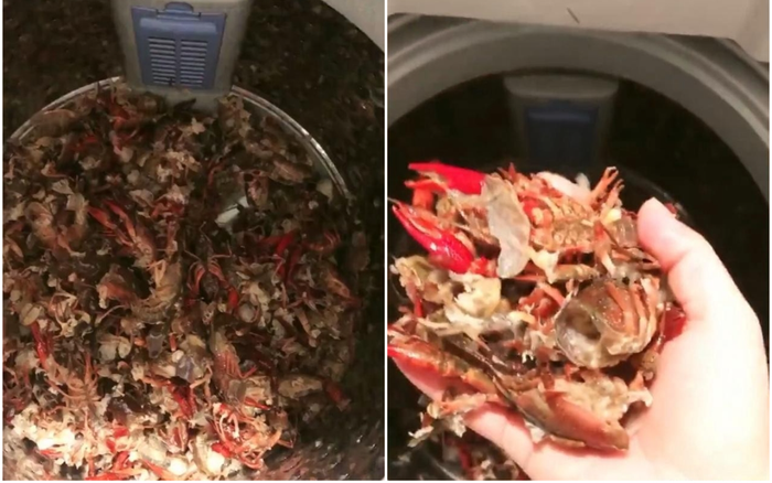 Rửa tôm bằng máy giặt, người phụ nữ nhận cái kết 'dở khóc dở cười'