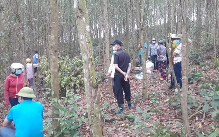Sau 5 ngày mất tích, thi thể người đàn ông được tìm thấy ở rừng keo